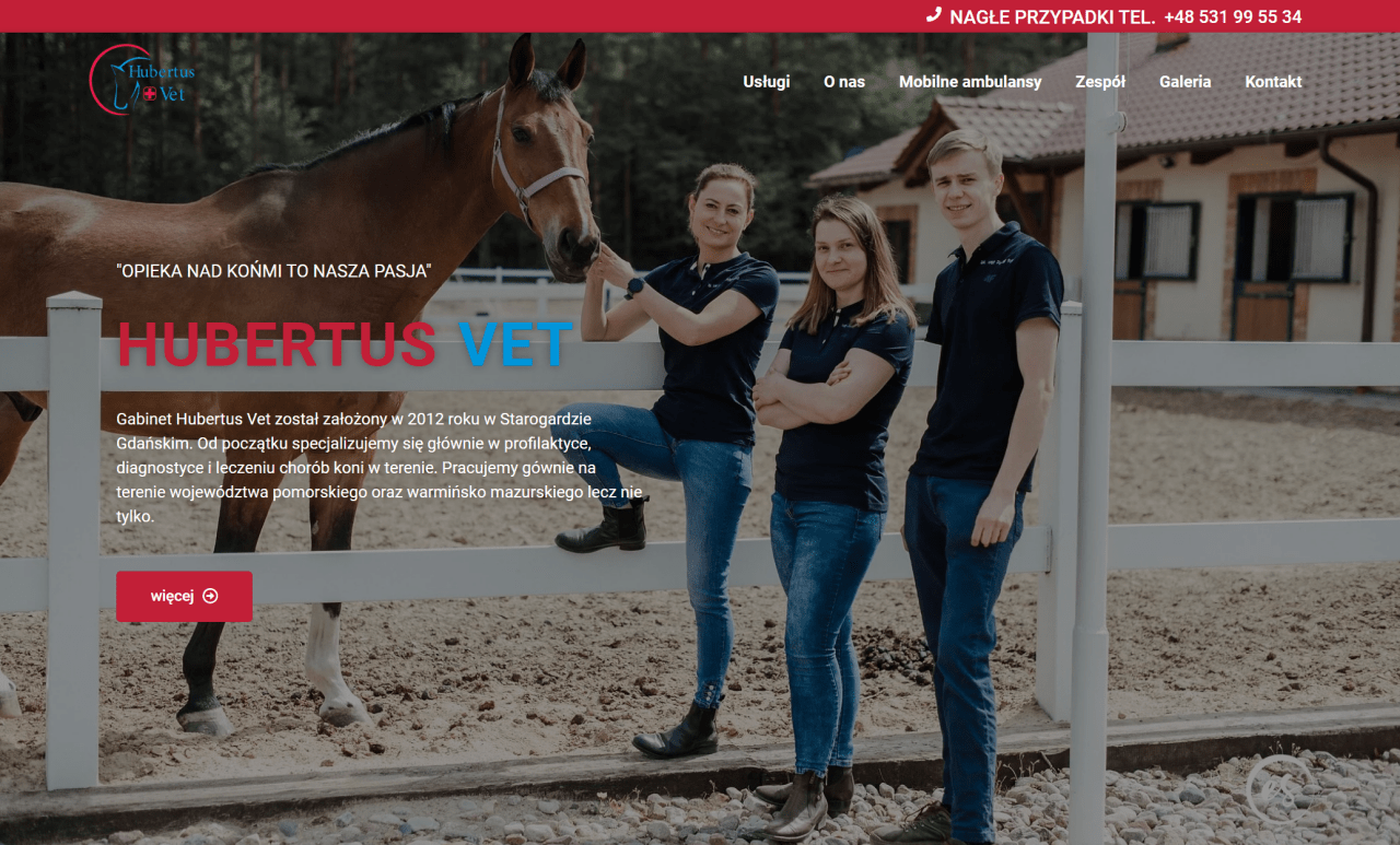 strona internetowa Hubertus Vet