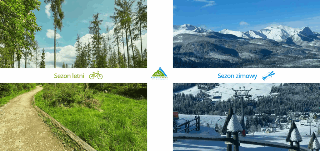 strona internetowa rentalsport.pl